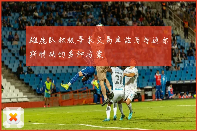 雄鹿队积极寻求交易库兹马与迈尔斯特纳的多种方案